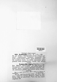 Image Associated With the Occurence